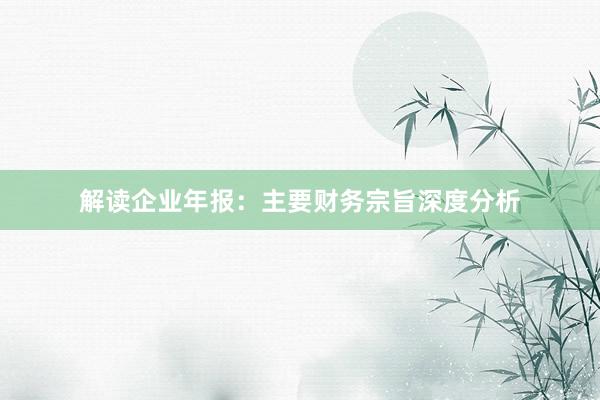 解读企业年报：主要财务宗旨深度分析