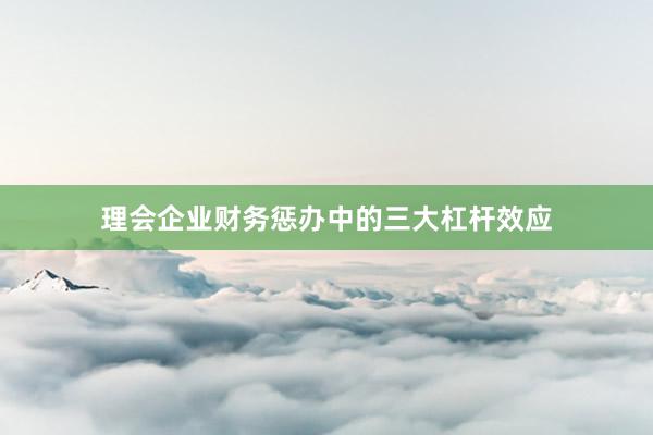 理会企业财务惩办中的三大杠杆效应