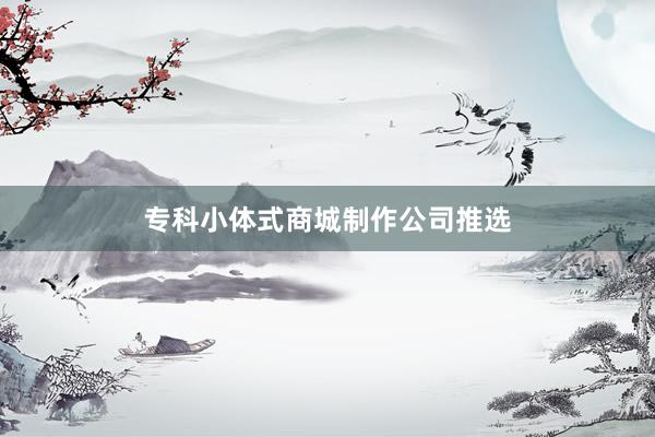 专科小体式商城制作公司推选