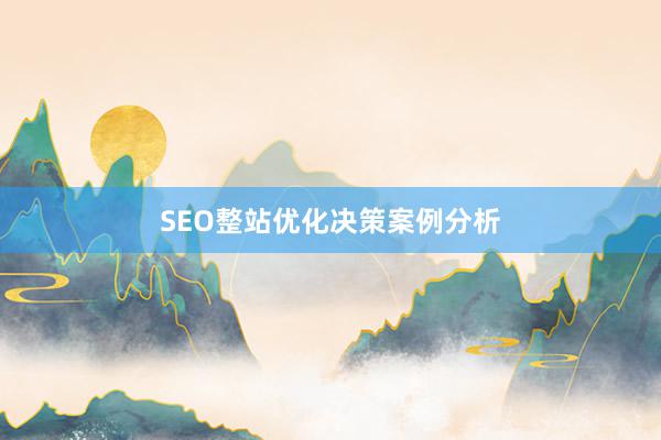 SEO整站优化决策案例分析